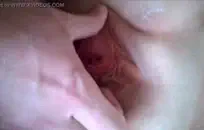 القذرة الإباحية الفاسقة ركوب مثل عاهرة nympho النفسية