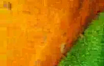 بدي صور كس و زب مع بعض