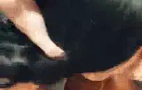 سكسي افلام اجنبية نيك اباحيات قضيب كبير