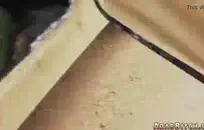 سكس اجنبي اون لاين كس ناررر ابيض