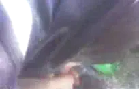 قصص سكس مصور فيلاما محارم