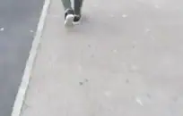 إنها جديدة، تلك المراهقة الشقراء المثيرة تحب مص القضيب وركوب القضيب الكبير.