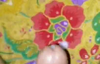 كساس افريقية مشعرة