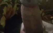 مقاطع فيديو نيك في المؤخره مفتوحه