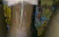 سكس بنات ورجال فرنسي