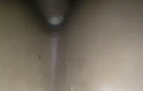 نك حمار وحريم