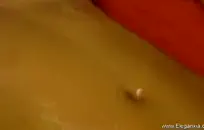 تنزيل مقاطع فيديو سكس تشتغل مباشر