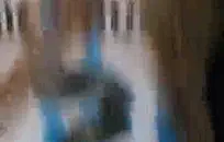 هزت فرقة latin swing، التي كانت جميعها فتيات لاتينيات مثيرات، المنزل بأنغامها المكسيكية المثيرة.