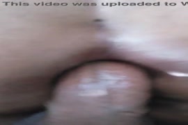 كلب ينيك قحاب مجاني