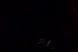 سكس رجال بينك حيوانات قرد