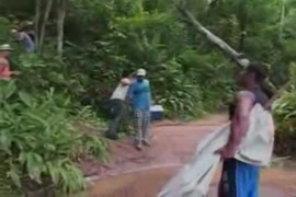 سكس غابات الامازون