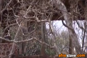 سكس عضلات جامد xnxx