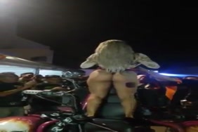 منى زكي سن 14 سن صور مصري سكس