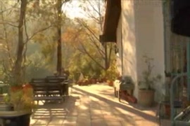 سكس علاء الدين على زي الوان
