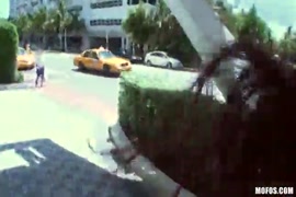 صور سكس حيوانات في الغابة
