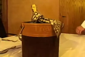 تحمل صور سكس كلاب وحصين تنيك بنات في كسها