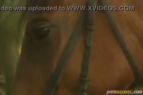 أفلام سكس تحرش تلمس طيزمخفي مترجم عربي