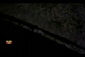 سكس.حريم.سمين