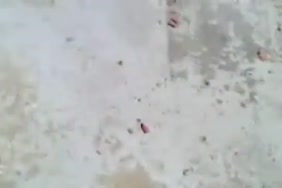 نسوان بلدي مصري بدينة فديو