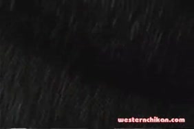 ياباني. ماما xnxx