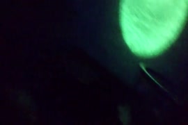 فيديوهات سكس حيوانات عاليه الجوده للتحميل المباشر علي التلفون