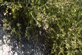 فيديوهات جنس حقيقي صوت وصورة