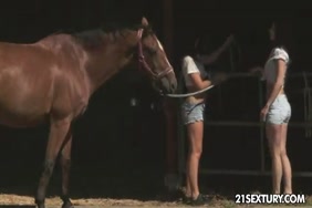 امرأة تتناك من الخيل