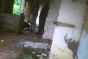 Xnxx نيك كلب وبنات