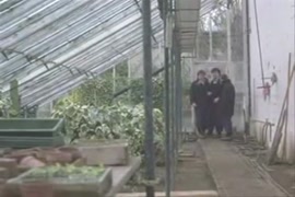 صور سكس متحرك من امريكا الجنوبية