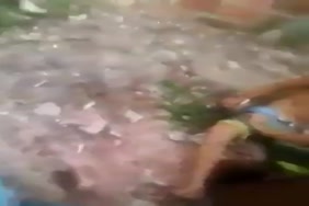 سكس حيوانات صور زب كلب