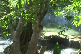 صورسكس عراقيات سمينات