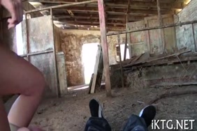 صور سكس نساء اشمل تمص زب الحمار