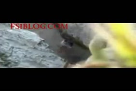 فلم سكس حىوانات كلب ىنىك بنت